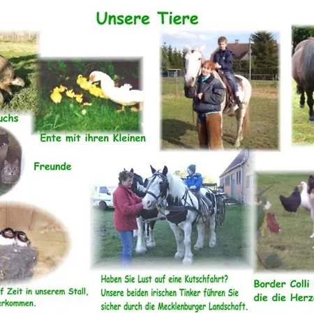 Ferienhof Winther Апартаменты *